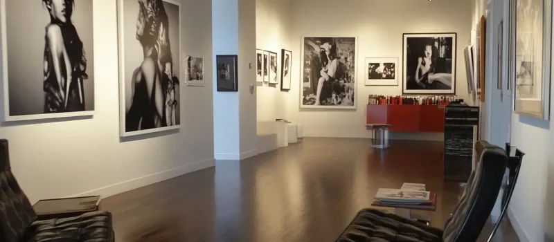 karlcarlene_artstudio_gallery_with_lots_of_photographs_on_the_ffd3d376-5731-4567-90dd-737ca0edefeb_2.png